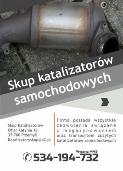 Skup Katalizatorów